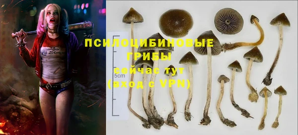 гашик Верея