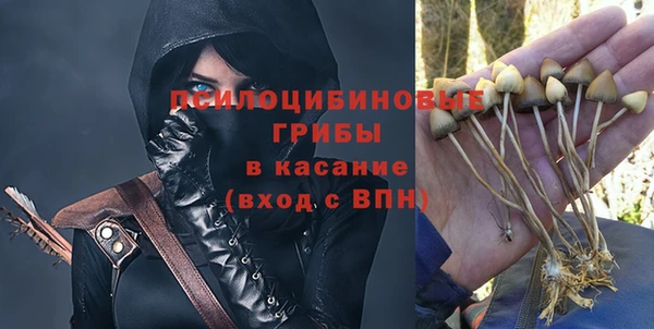 гашик Верея