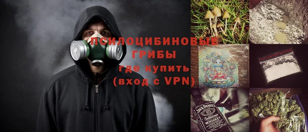 гашик Верея