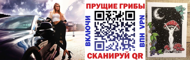Галлюциногенные грибы Cubensis  Домодедово 